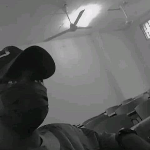 Anas