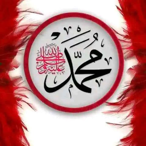 Sagir