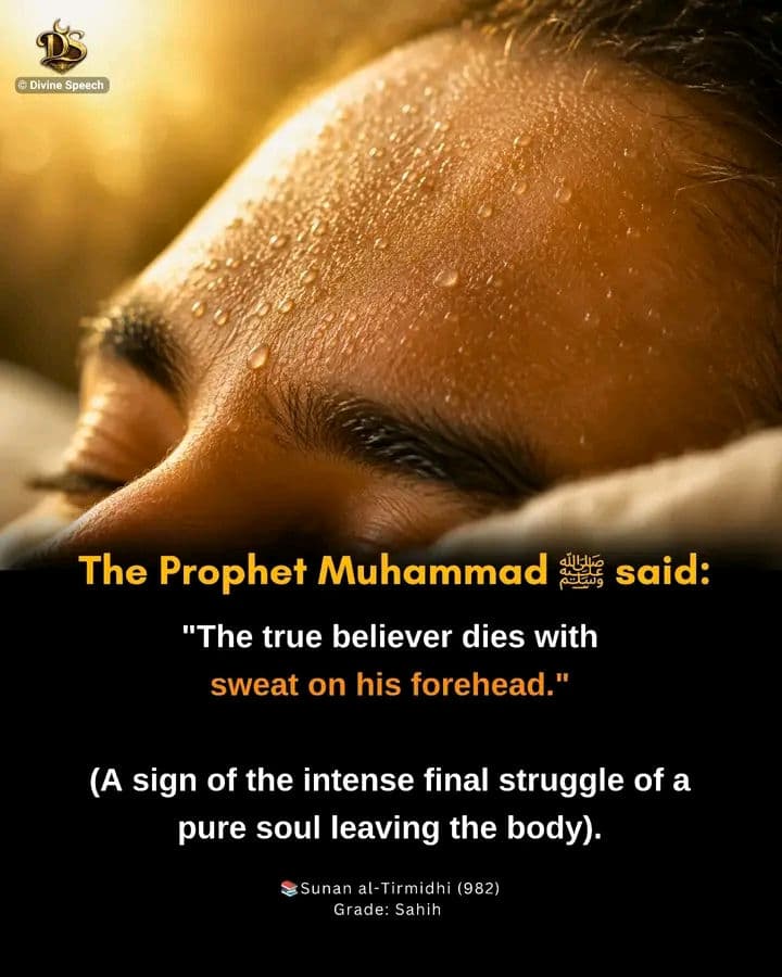 Allahumma Salli wa Salim ala nibiyina sallallahu alaihi wa sallam.