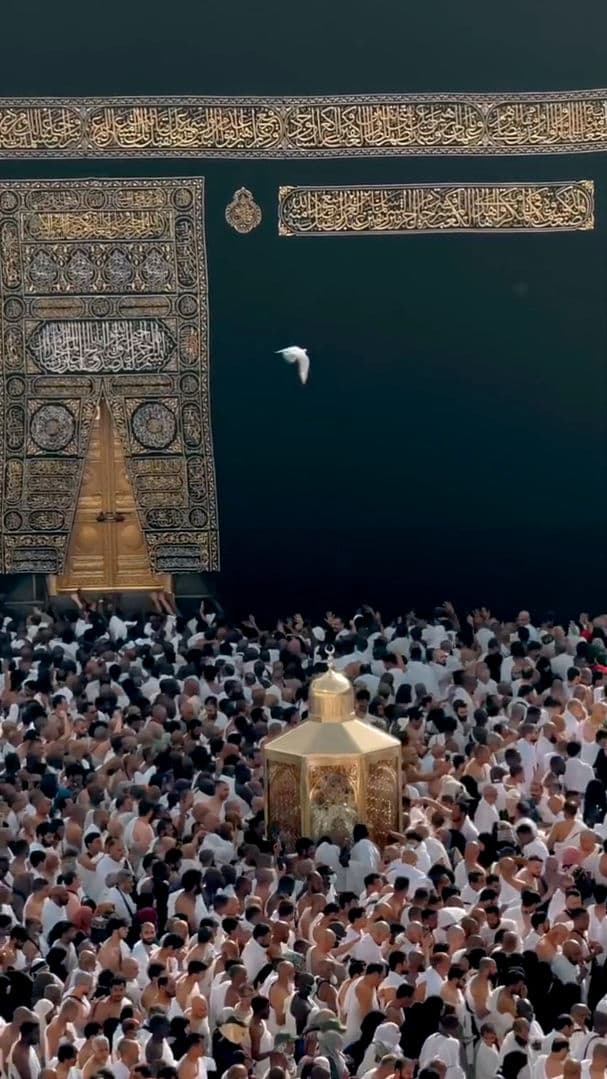المسجد الحرام 