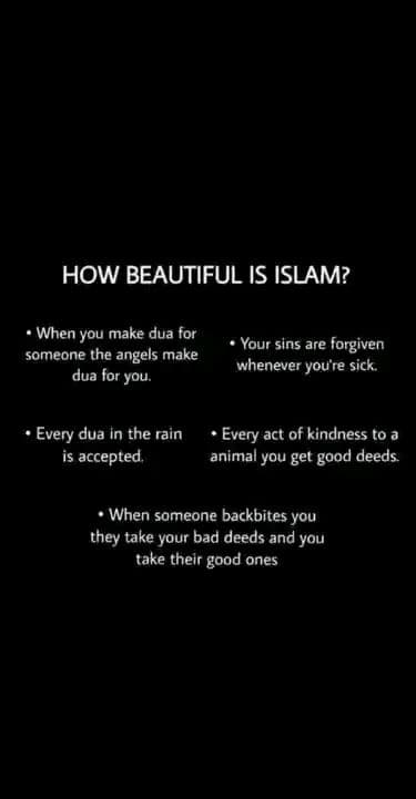 💕 Indeed! What a beautiful Religion