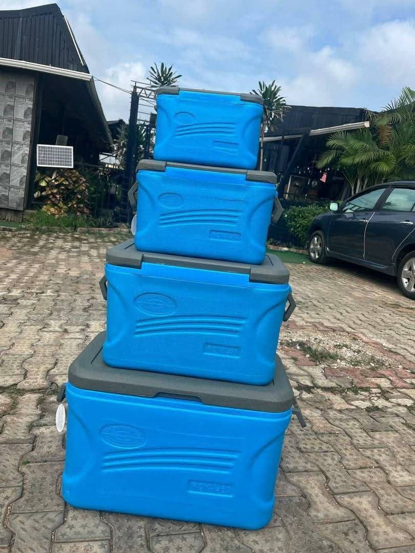 Wambai market Kano 08105257051.   #. 65000 .