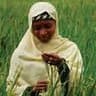 Aliyu