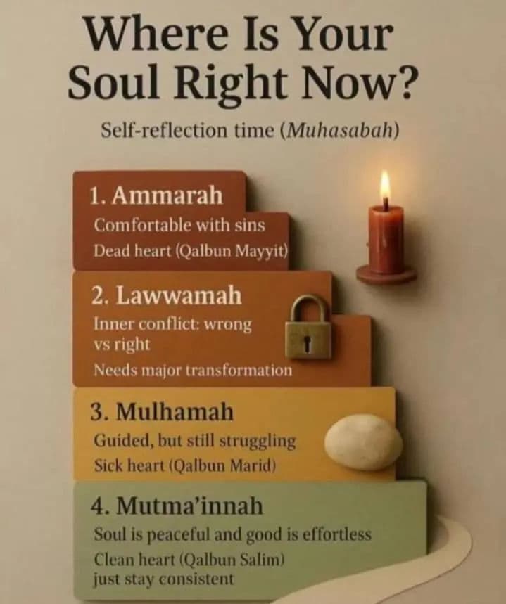 Pause For self reflection
