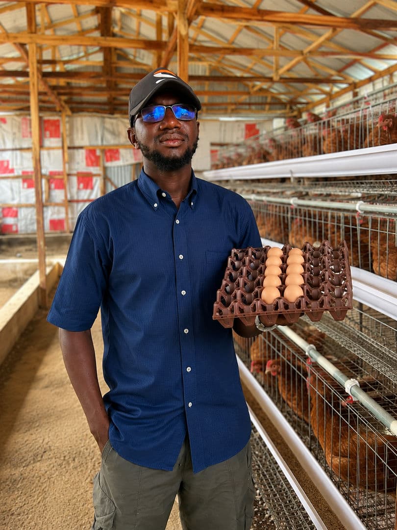 Ridwan Egg Enterprise 👇
Kuzo kuyi Mu'amula da Muwa Insha Allahu (T) zakuji dadin Mu'amula da Muwa Munada Ingantacce kwai Mai Sauki aduk Inda kake fadiin Jahar zamfara zamu'iya aika Maka da Shiya
- Gusau Branch
Rijiyar Gabas Hausing Estate Gusau
07012399310
- Bunguɗu Branch
Birnin Malan Area Bungudu
08066261814
Allah (T) yasama Nemammu Albarka
Sai Najiku